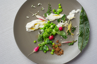 Wild Honey food